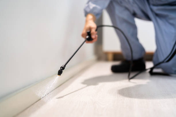 Licensed Fumigation Services service in West Cape May, NJ - Nex Pest Control