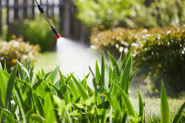24/7 Emergency Fumigation Services experts in West Cape May, NJ