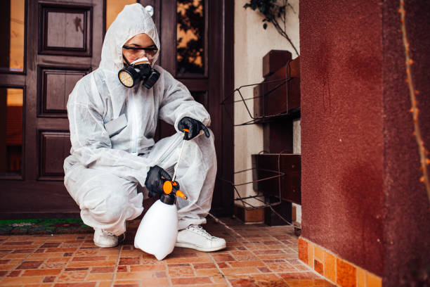 Reliable Fumigation Services contractor in West Cape May, NJ by Nex Pest Control