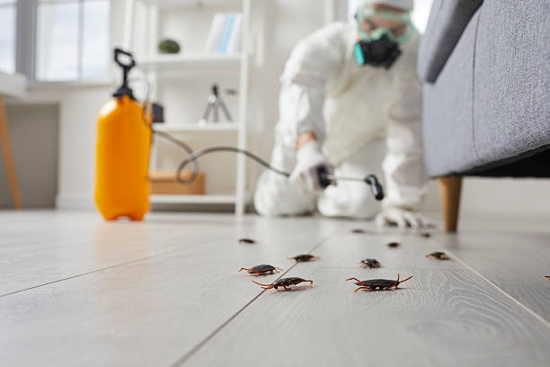 Trusted Termite Control service in West Cape May, NJ - Nex Pest Control
